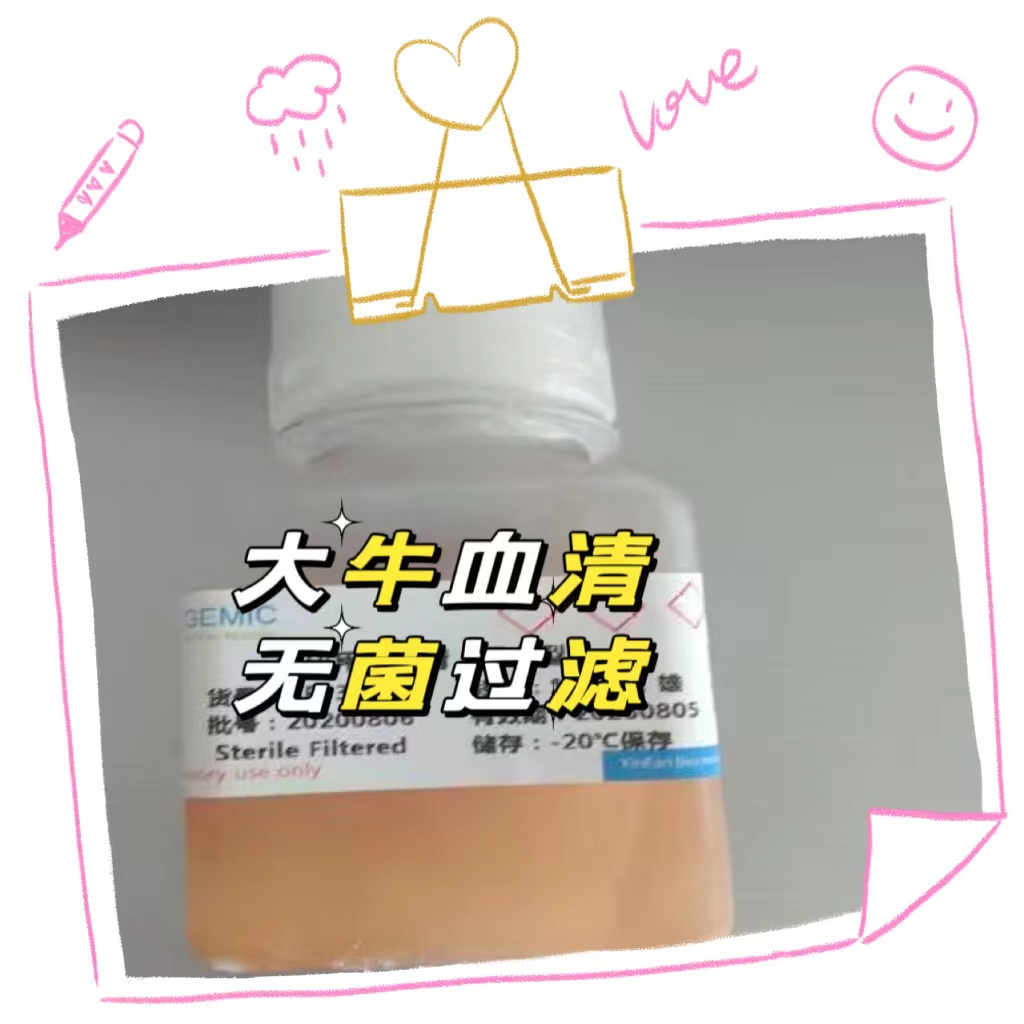 ţѪ壨޾ˣ