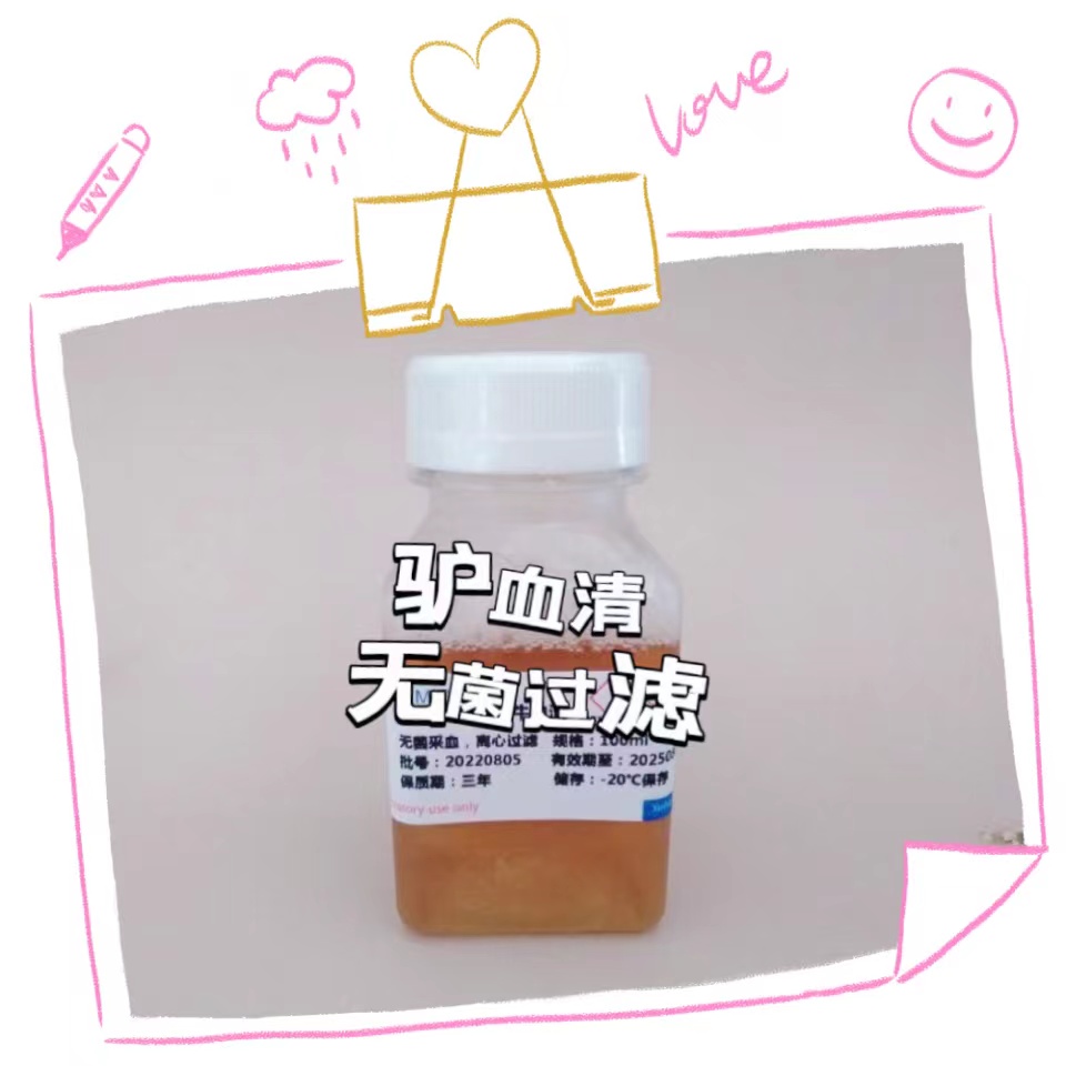 ¿Ѫ壨޾ˣ