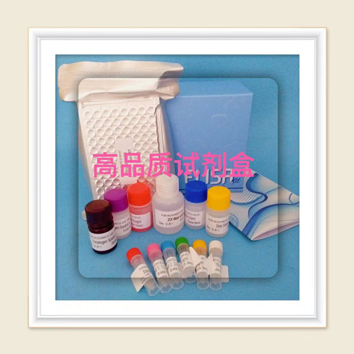 C-C-Ԫ3(CCL3)ELISAԼ