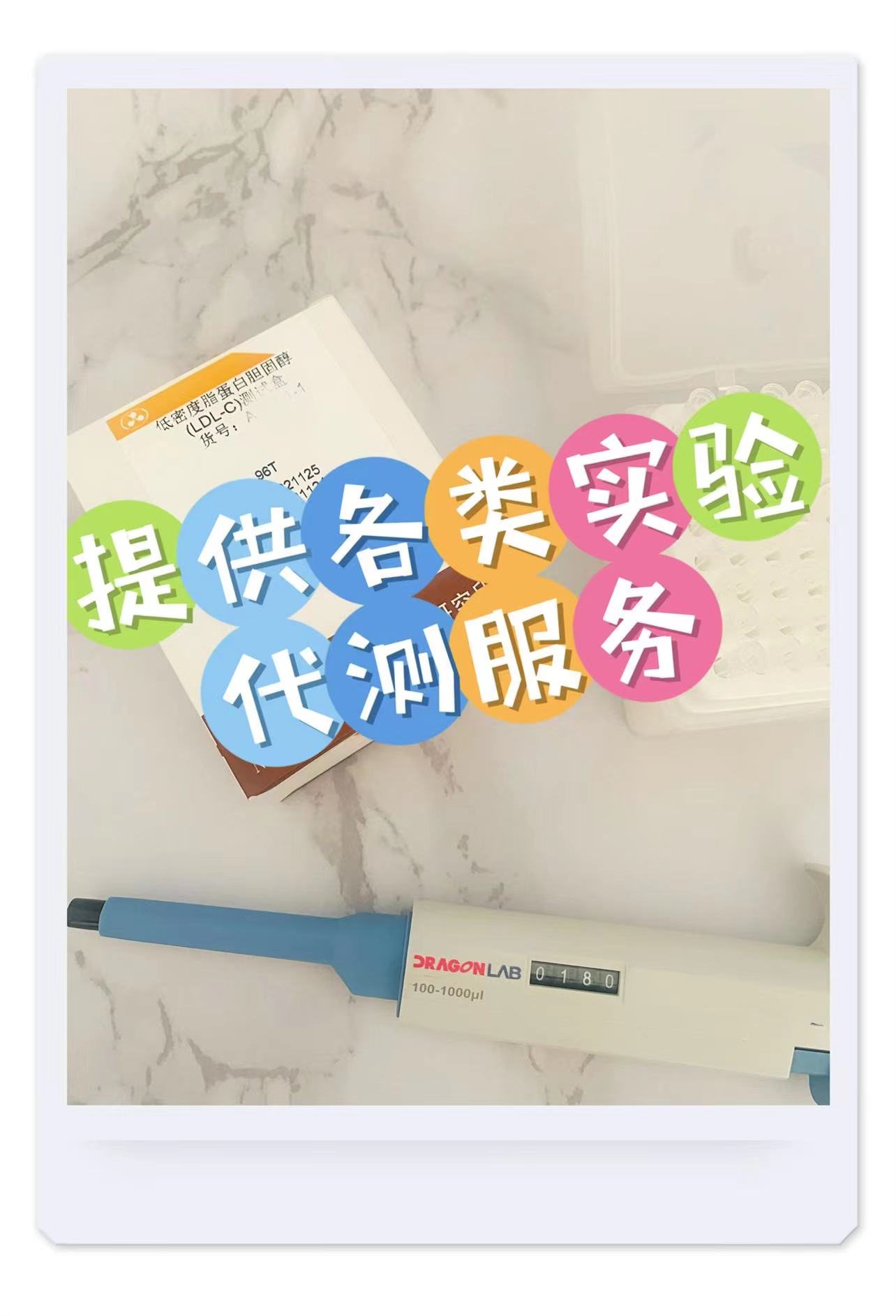 䱽ľȾɫʵ